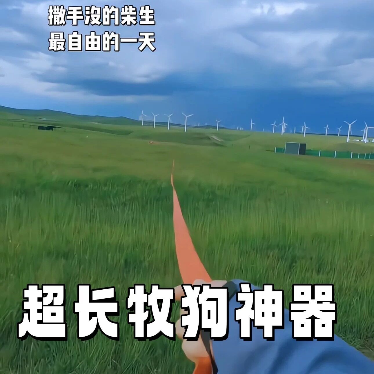 【牧狗神器】超长遛狗绳