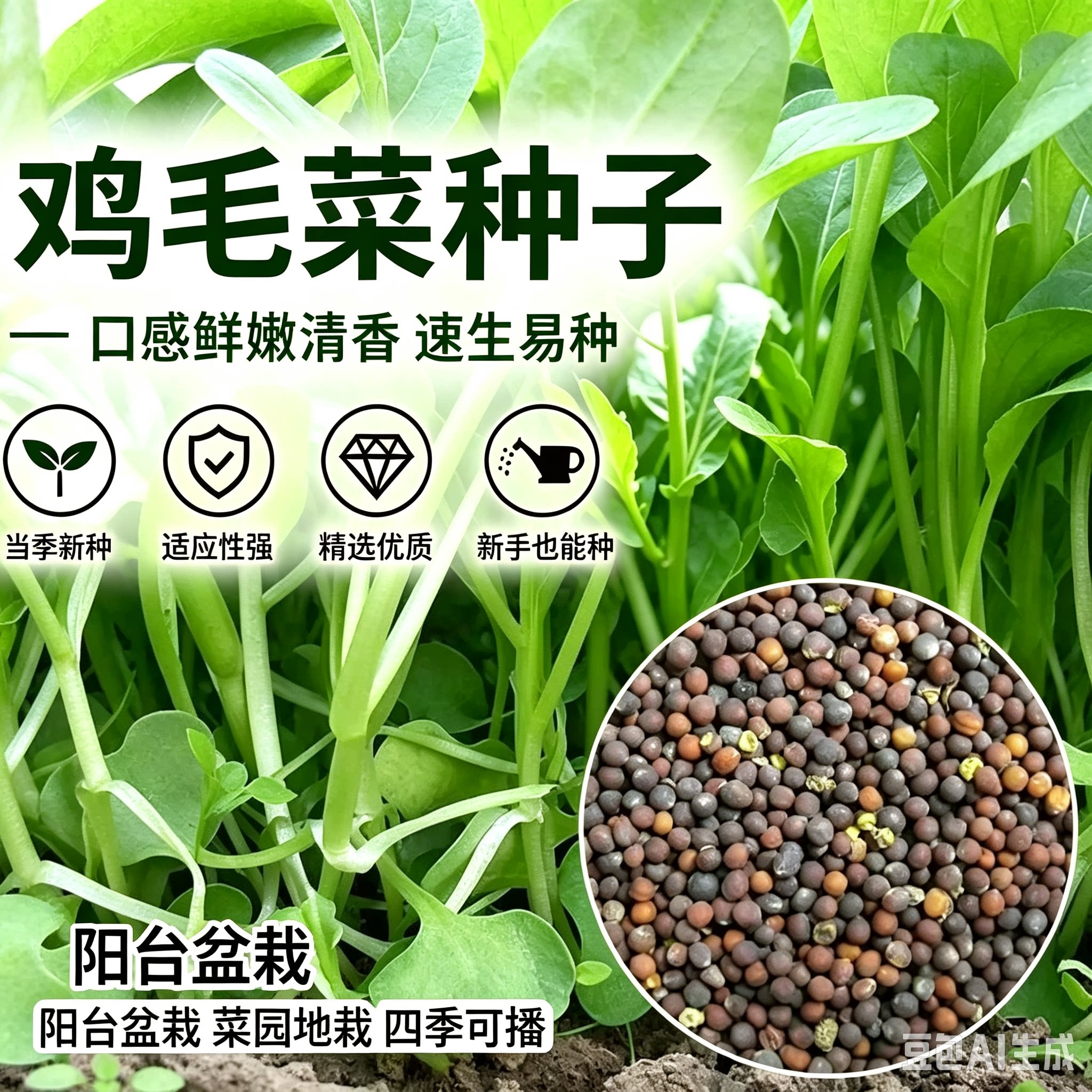 【鸡毛菜种子】四季可种速生小白菜种子小青菜小油菜蔬菜种子MD