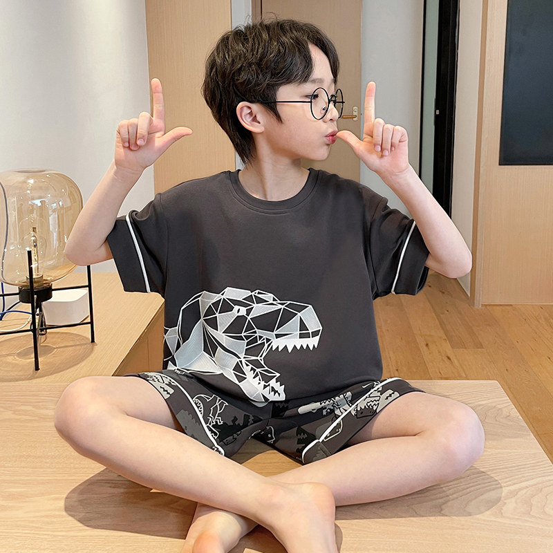 男童睡衣夏季纯棉短袖薄款202家居服套装