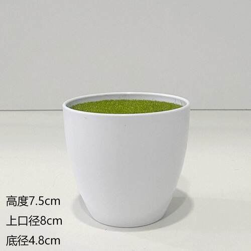 厂家供应简易育苗塑料彩色花盆绿植园艺用品种植塑料育苗盆花盆