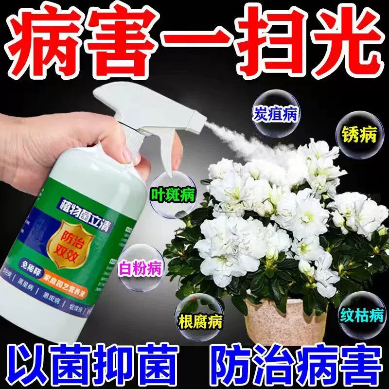 菌立清通用微生物菌剂根腐白粉灰霉叶斑溃疡预防土传植物营养液