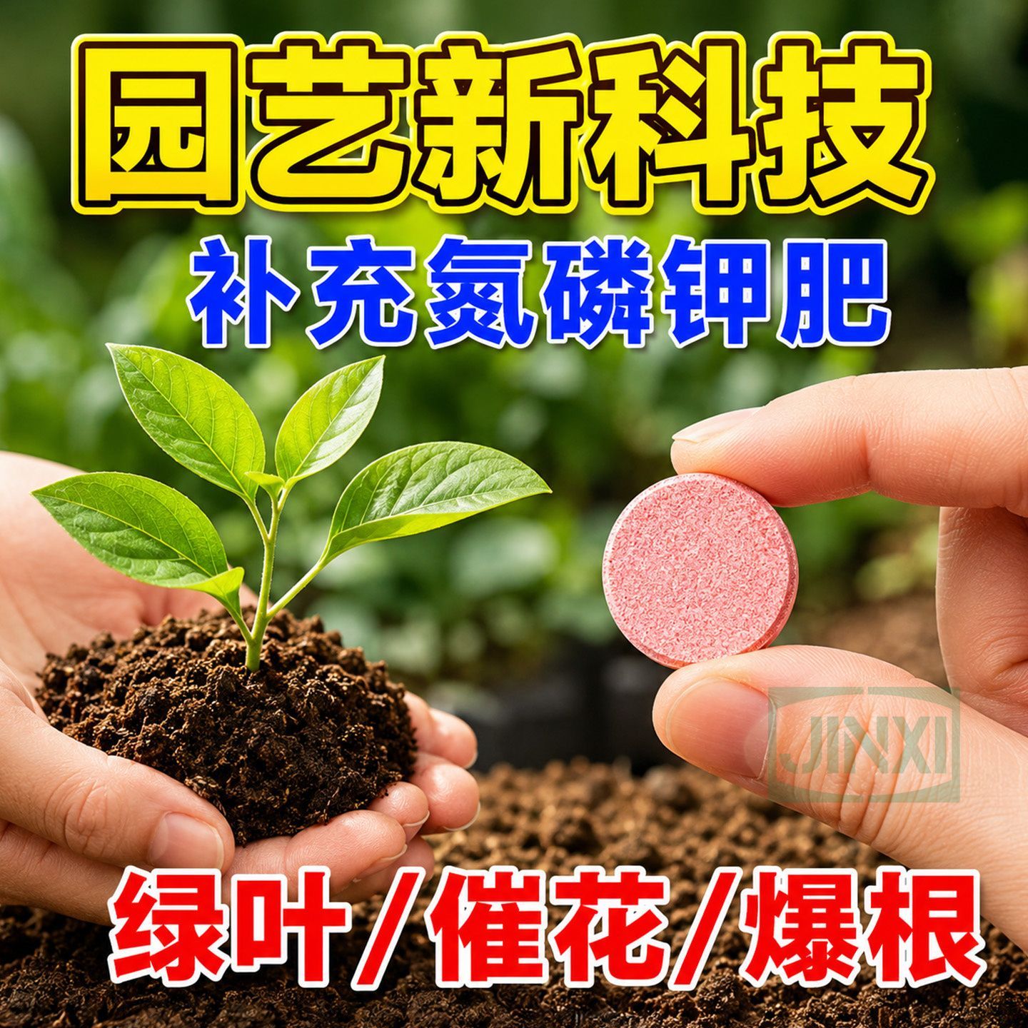 植物养护片】家庭阳台盆栽植物营养缓释片通用型三角梅兰花富贵竹
