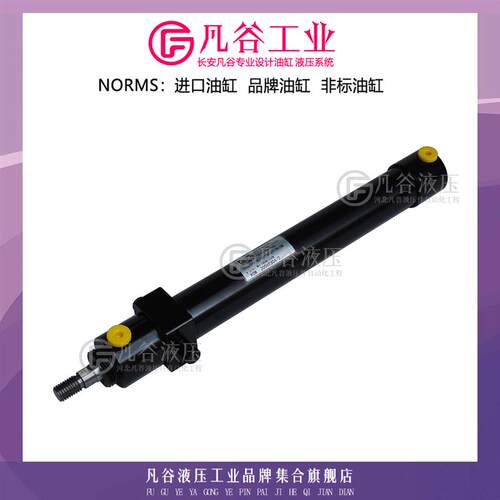 德国HEB中摆焊接油缸Z100-102-32/16/300-211/B1/S8 圆柱形液压缸