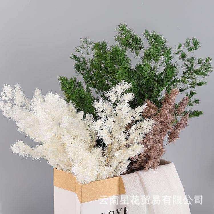 永生蓬莱松永生花花材玻璃罩diy家居装饰浮游花配材花艺鲜花