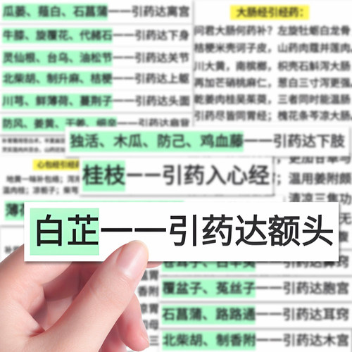 药引子贴纸民间小偏方中医养生