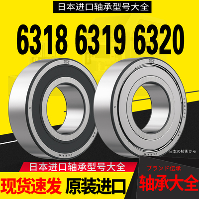 进口轴承大全6318滚珠深沟球6317/6319高速6320电机6321轴承6322