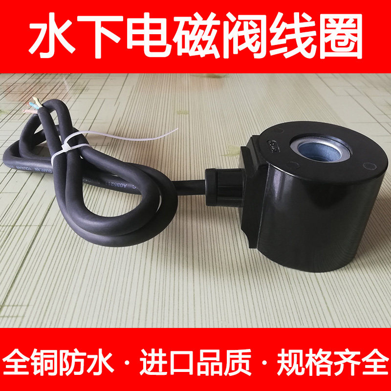 全铜水下喷泉防水电磁阀水阀线圈220v地埋式电磁控制阀开关阀24v