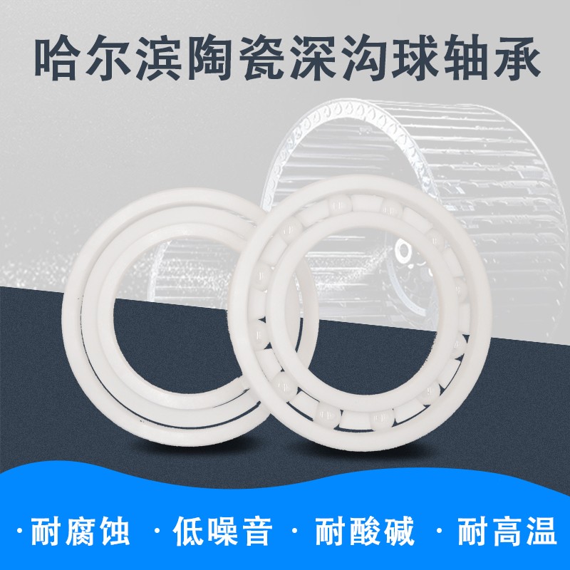 氧化锆陶瓷轴承6300 6301 6302 6303 6304 6305 6306 6307 6308CE