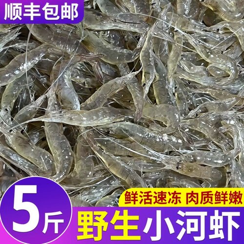 淡水小河虾鲜活速冻冻虾大号野生现捕河虾冰鲜青虾小草虾湖虾淡水