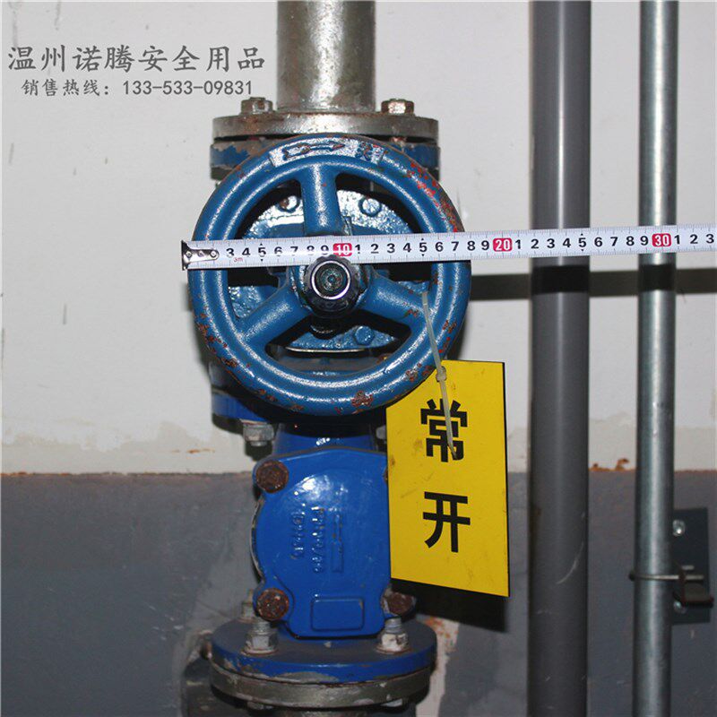 贝迪型阀门锁闸阀锁pvc球阀锁截止阀门安全锁具圆盘手轮工业标准