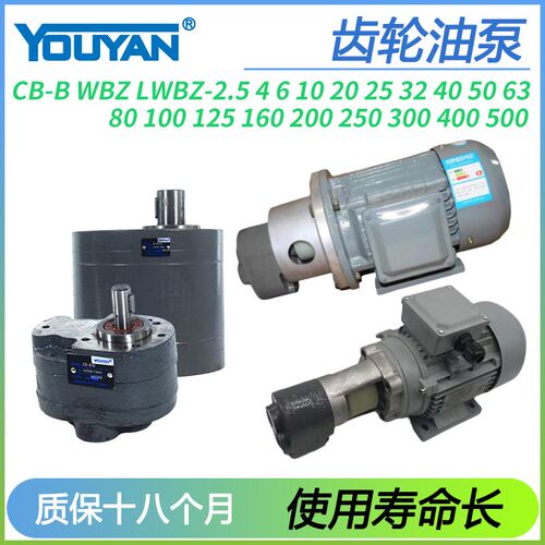 LWBZ200齿轮泵CB-B2.5/4/6/10BM16/20/25/32/40/50/63/80/100/125