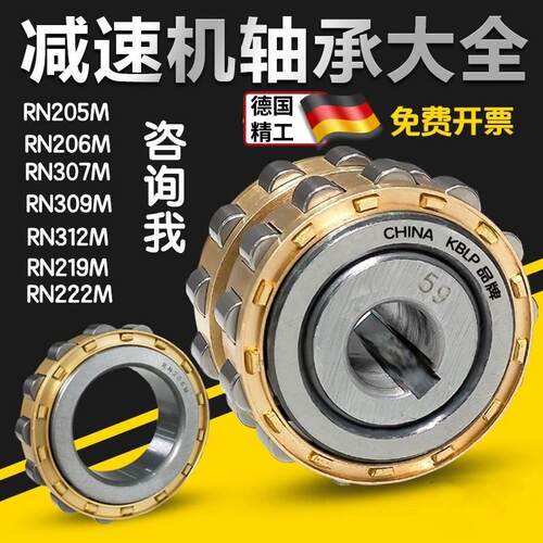 偏心轴承 RN205 RN206 RN307 RN309 204 312 219 222 228 M减速机