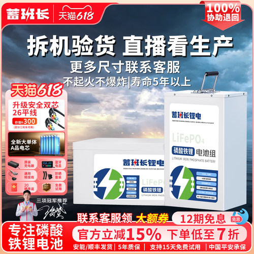 蓄班长磷酸铁锂电摩三轮锂电定制