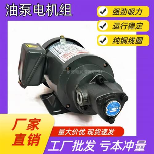 top-12a齿轮泵TOP-11A摆线泵TOP-13A三角泵ROP-12A打头机油泵浦VB
