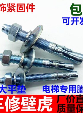 直销国标车修壁虎膨胀螺丝加长重型拉爆电梯专用膨胀螺栓M8M10M12