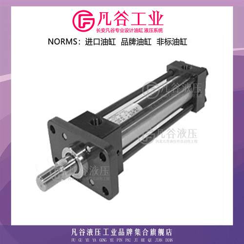 日本丰兴TOYOOKI拉杆式油缸 TFSRSA2FA100C70H110AODABD2C 液压缸