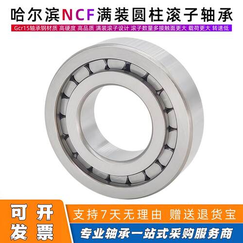 满装圆柱滚子轴承SL18 NCF3004 3005 3006 3007 3008 3009 3010CV