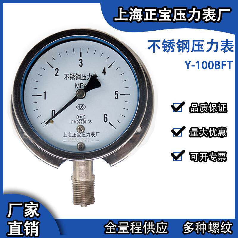 不锈钢压力表径向带边Y100BFT耐震耐腐蚀304材质非标螺纹欢迎定制
