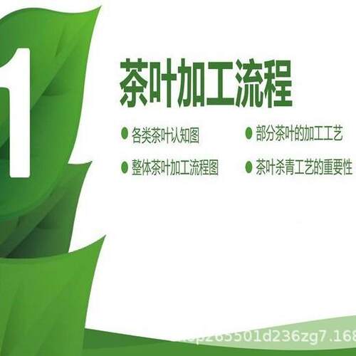 膨化食品烘干设备薯片干除湿设备PXZ传干送燥带饼快速干燥式机