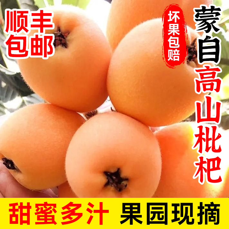 顺丰直达云南蒙自枇杷清甜润喉酸甜多汁高山树熟枇杷赠枇杷叶