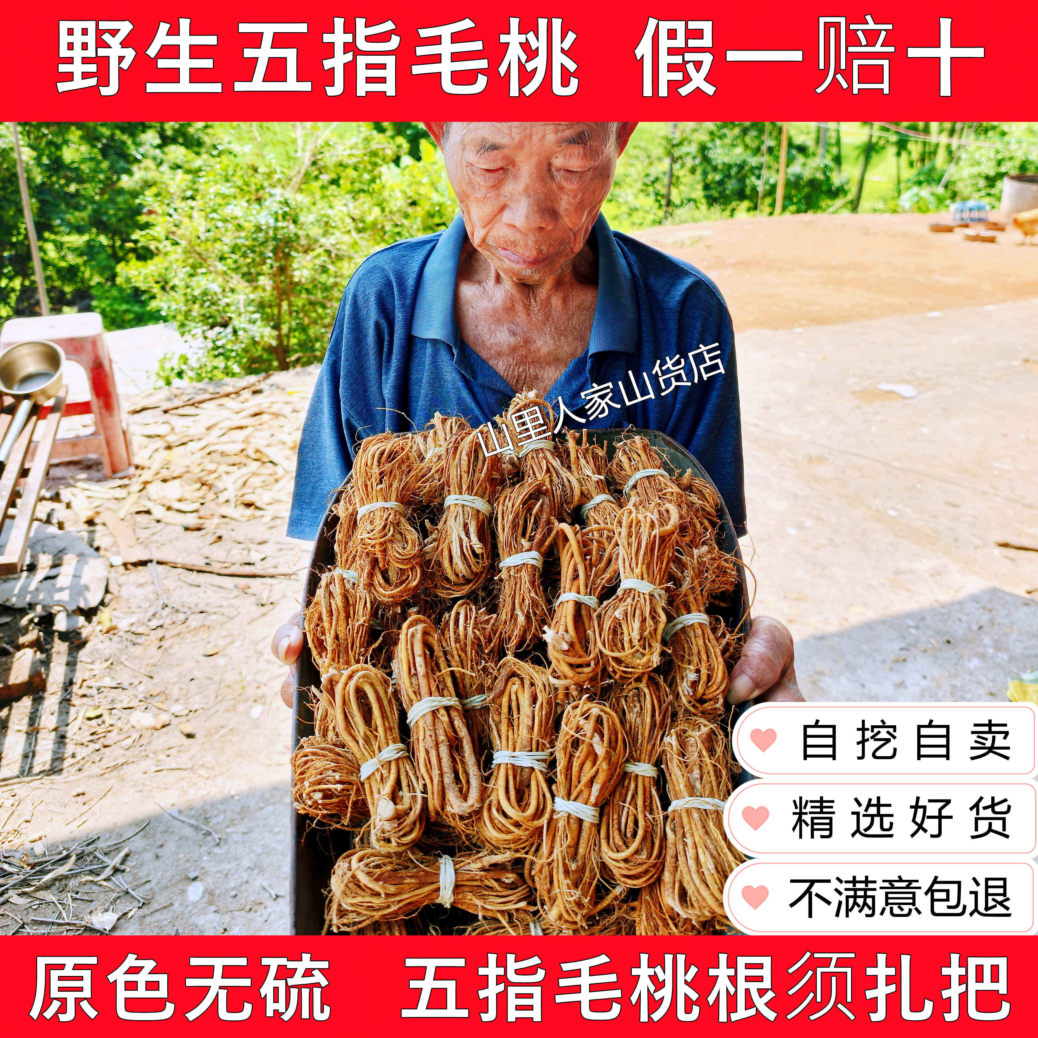 广东野生五指毛桃扎把莫氏鸡煲料