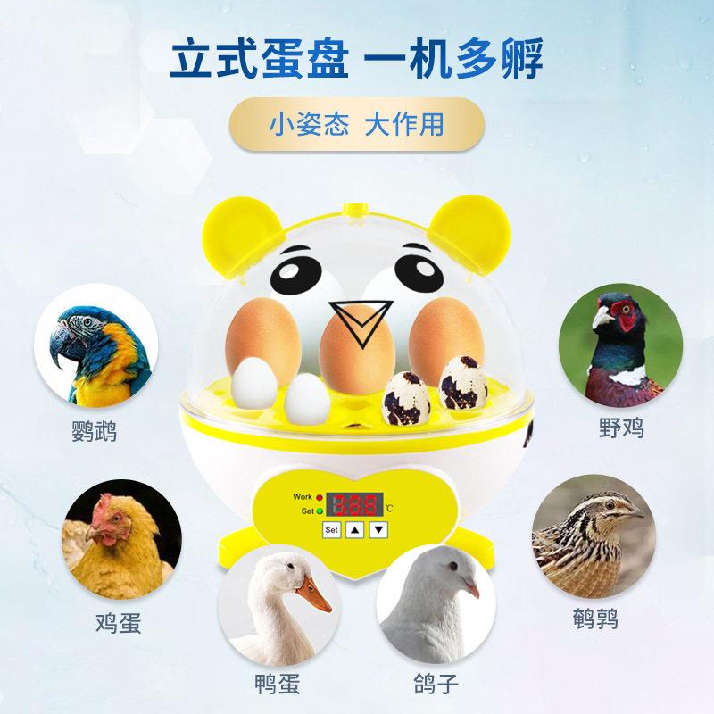 新款9枚迷你孵化机半自动小型孵蛋器家用育儿孵卵器智能孵蛋玩具