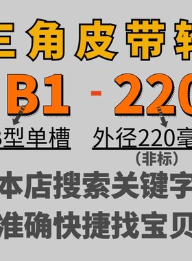B1-220三角皮带轮B型单槽1B外径22公分铸铁电机皮带盘电动机配件