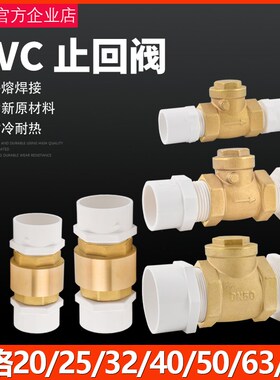 铜止回阀开关单向阀自来水管止水阀2025pvc管4分6分防倒流止回阀