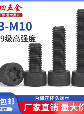 SZ12.9级高强度圆柱头内梅花螺丝杯头梅花孔螺钉防盗拆螺栓M3-M10