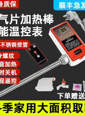 暖气片加热棒家用智能温控电暖气电加水电土暖气节能电加热管恒温