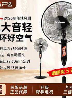 16寸电风扇落地家用落地扇左右摇头办公室宿舍立式风扇