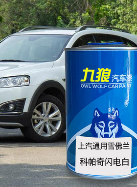 九狼汽车漆上成汽通品用雪漆佛兰科帕奇闪电白旷夜黑波尔红星月银