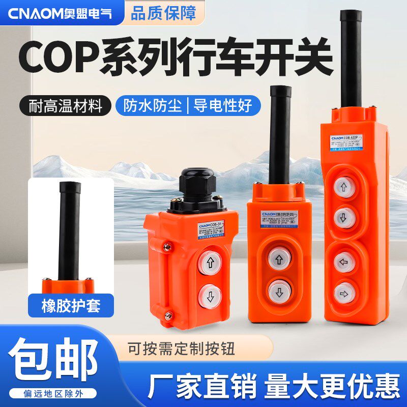 COP-21直控开关250V电压行车开关上下按钮起重机直控型按钮吊车
