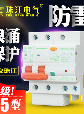 珠江防雷漏电保护器浪涌漏电开关断路器家用漏电总开关2P漏电保护