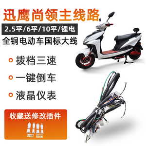 大迅鹰电动车大线尚领电瓶车线束大功率改装120v10平五大开关大线