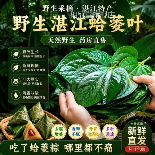 叶广东湛江野生菜哈喽端午节包粽子蛤篓捞槟榔山新鲜假苗急捞葛gh