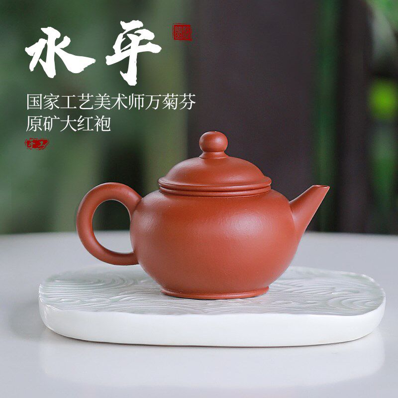 正宗宜兴紫砂壶名家全手工功夫泡茶壶具水平壶原矿朱泥大红袍茶具