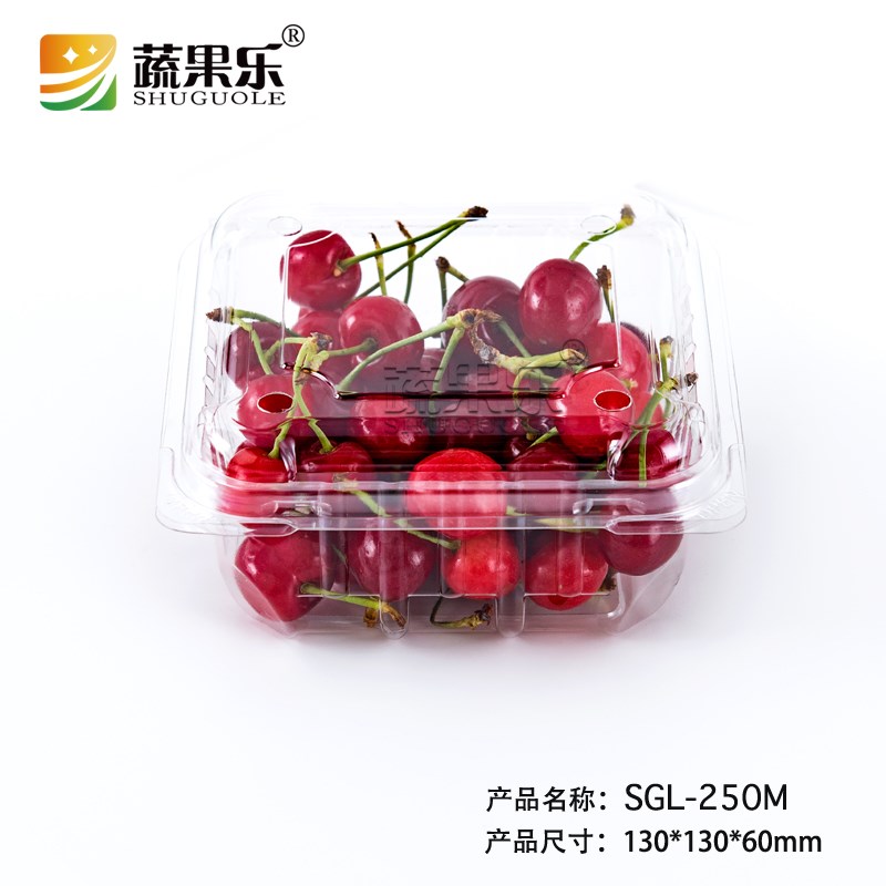 蔬果乐250M一次性透明正方形樱桃盒水果保鲜盒塑料打包盒半斤装