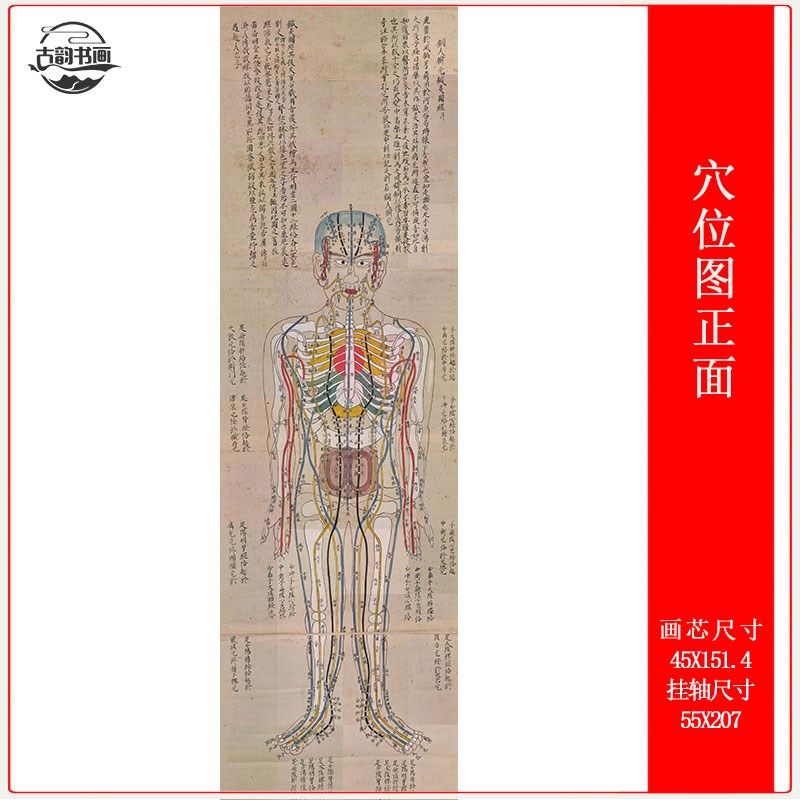 针灸穴位五脏六腑图古代医学经络参考绘画中医养生馆挂画挂轴装裱