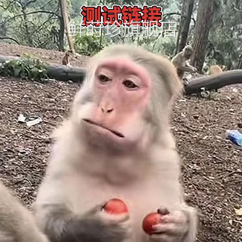 国药药材舌康官方旗舰店正品植物草本舌苔宁喷剂口腔清洁护理22sf
