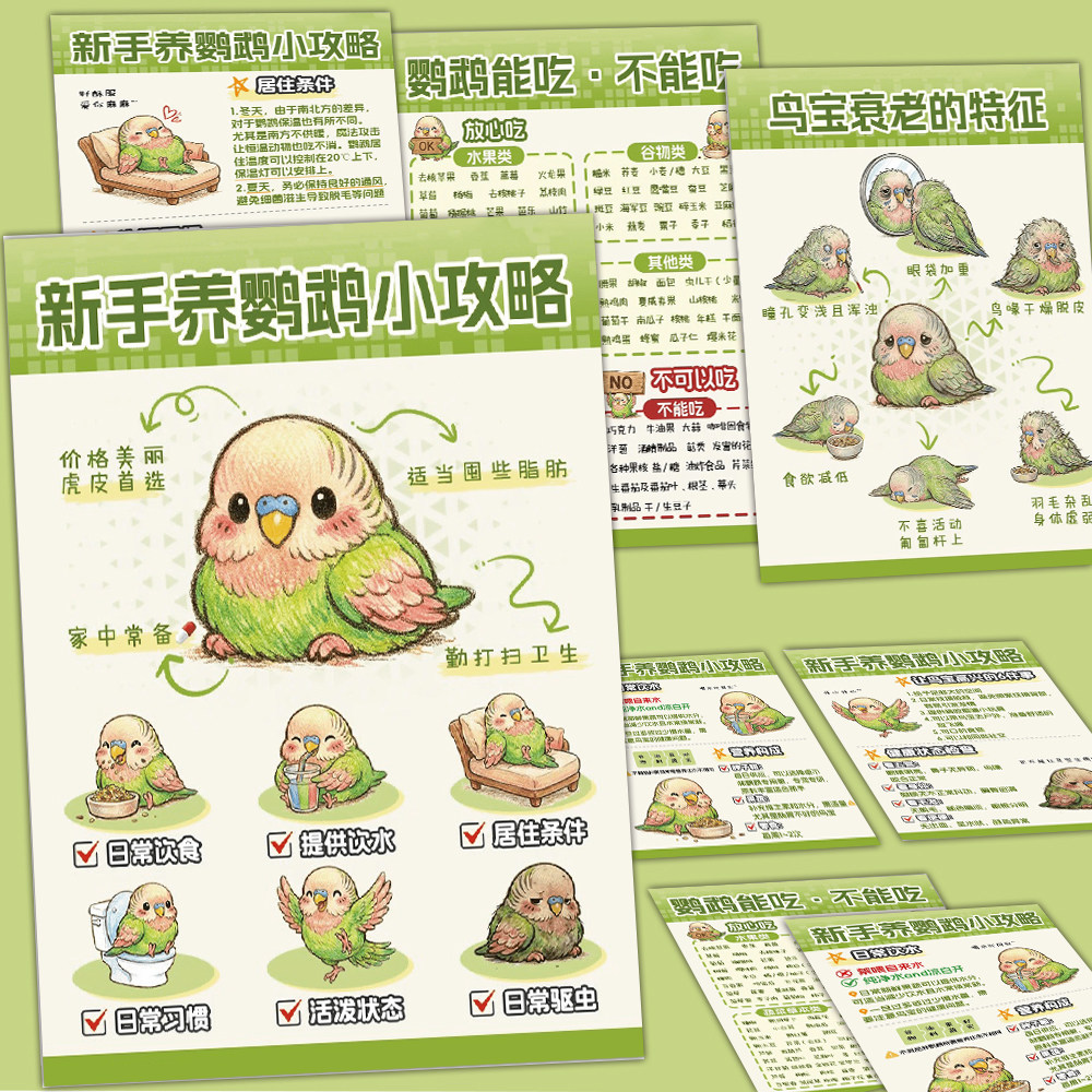 24张新手鹦鹉养护科普贴纸