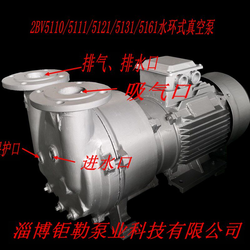 博山水环式真空泵液环真空泵 2BV5110/5111/5121/5131/5161真空泵