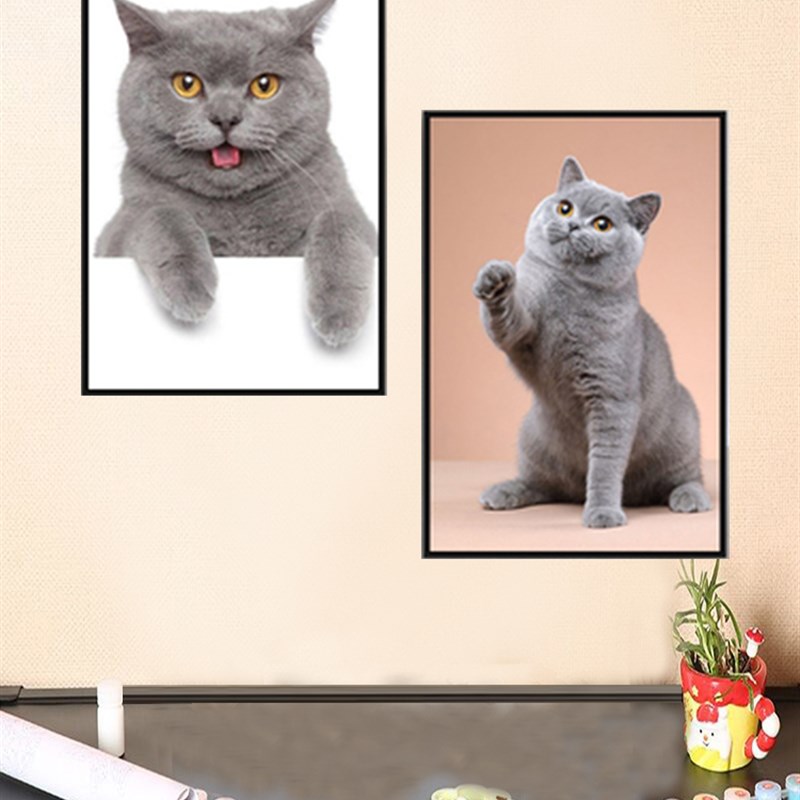 手绘填色涂鸦萌宠猫咪蓝猫diy数字油画动物卧室客厅主题装饰挂画
