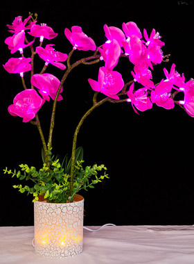 盆景百合花灯光纤蝴蝶兰花LED七彩莲花灯电佛前供灯佛灯造型艺灯