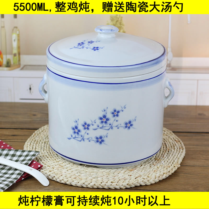 隔水炖盅大容量陶瓷内胆蒸汤家用蒸蛋羹碗双带盖燕窝炖罐小汤盅