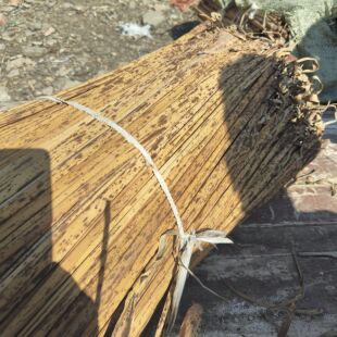 野生竹笋叶包粽子斑竹笋壳叶寿竹粽叶端午新鲜粽壳叶重庆端午棕衣