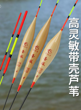 狂钓手圣眼芦苇浮漂野钓鲫鱼漂轻口鲤鱼浮漂醒目灵敏度高黑坑混养