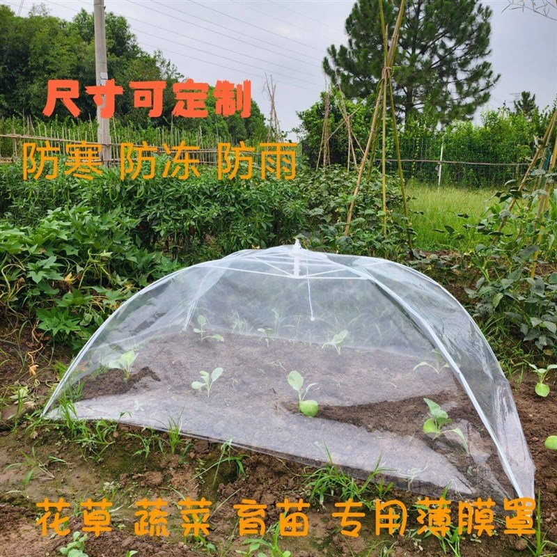 农业种植果园菜地小拱棚蔬菜育苗透明加厚薄膜罩保暖防寒防雨防虫