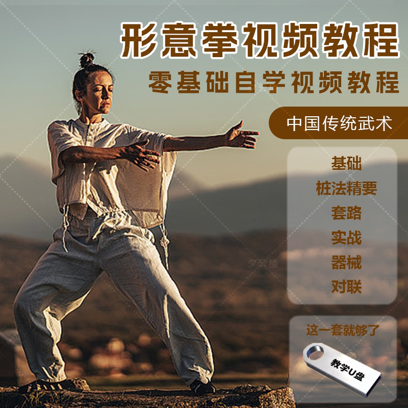 形意拳系列视频U盘教学片全集自刻录盘个性化服务