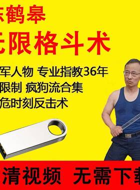 陈鹤皋无限格斗术徒手反击体系40集+直尺课程武术课程U盘视频